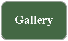Rounded Rectangle: Gallery